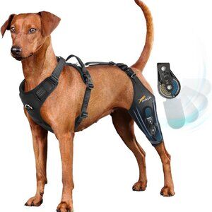 Dog Knee Brace for torn acl hind leg with Adjustable Hinge Stabilizer